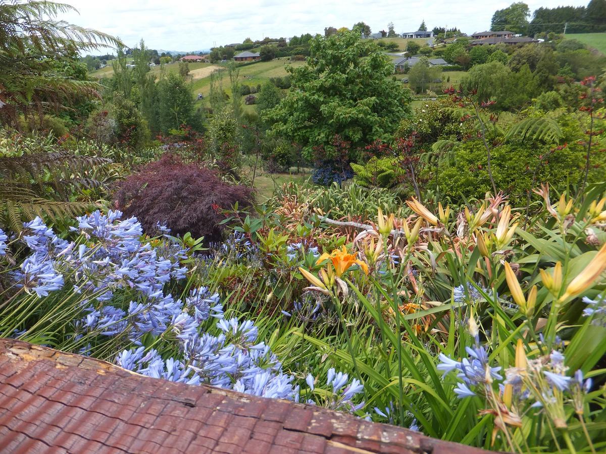 Waitomo Golfstays B&B Otorohanga Dış mekan fotoğraf